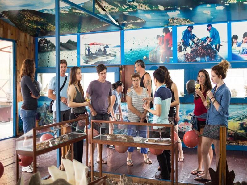 Charm Boutique Cruise Hotel Ha Long Bagian luar foto